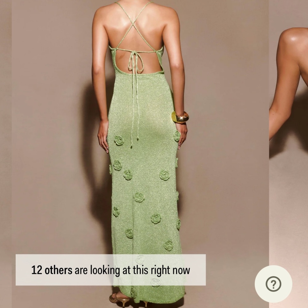 Meshki Light Green Beaded Maxi Dress with Floral Appliqués - Picture 2 of 6